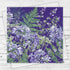 Agapanthus Medley Greeting Card - Fiona Calder_Just Makers