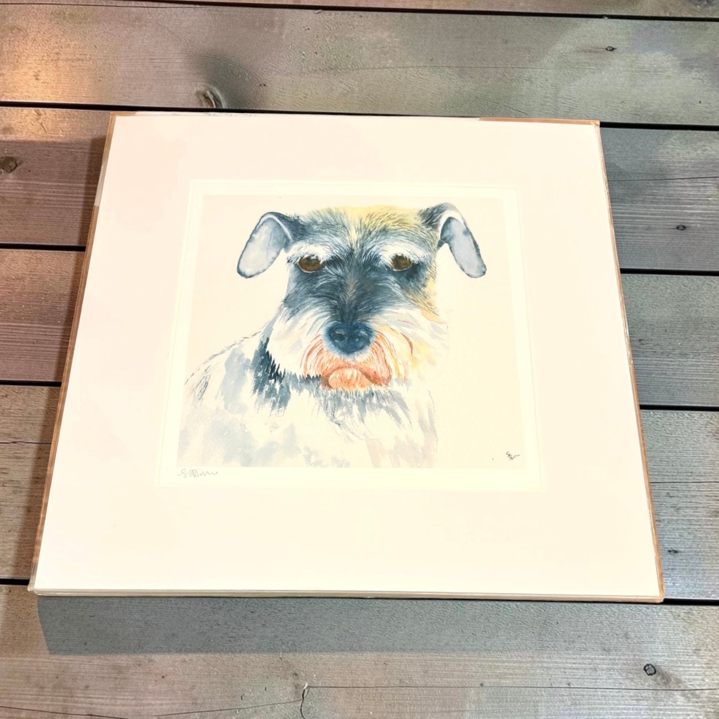 Amy the Schnauzer Giclee Print - Sandie Turner