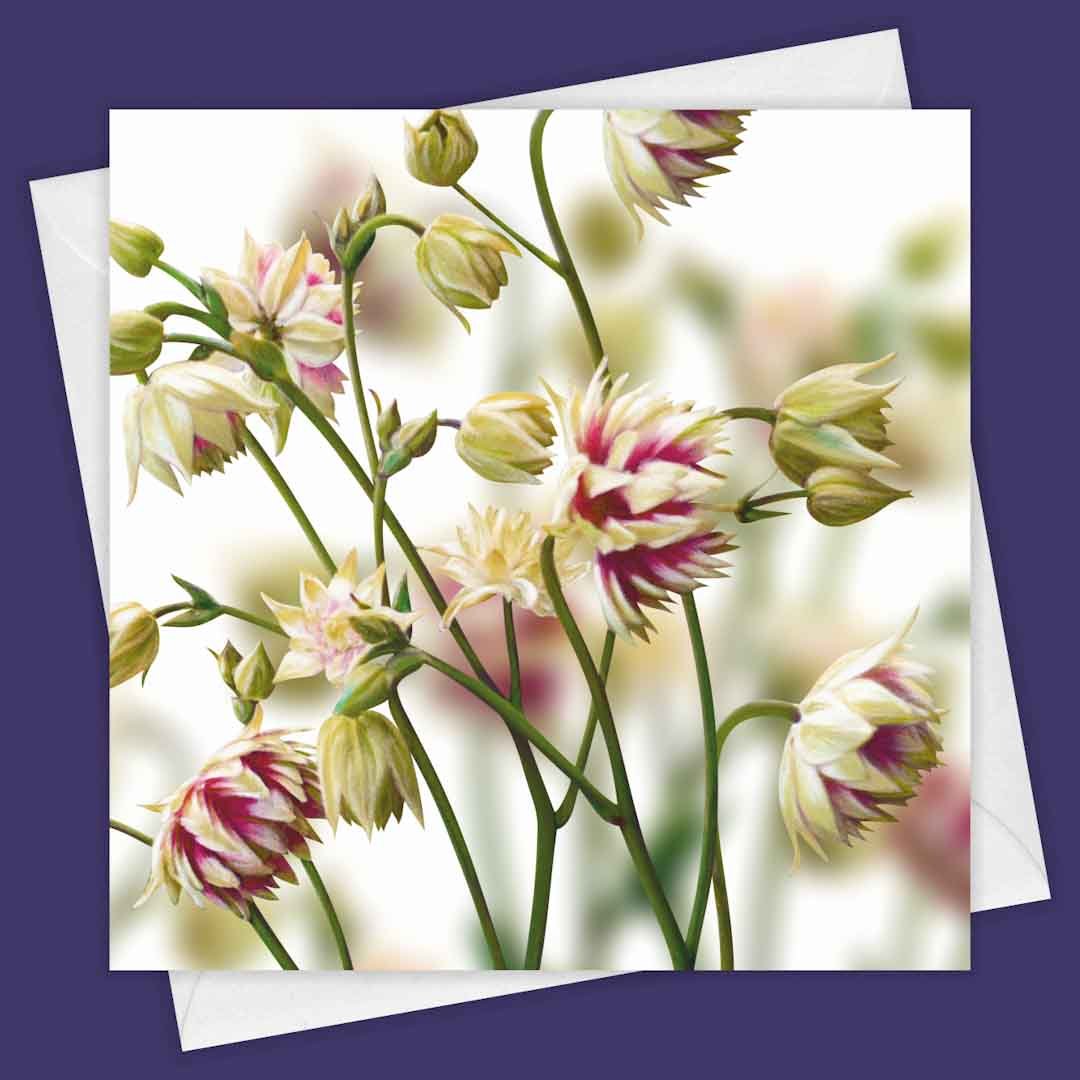 Aquilegia Greeting Card by Fiona Calder - Just Makers Fiona Calder Designs
