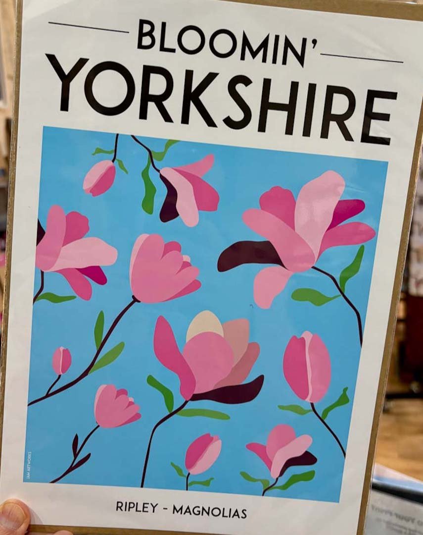 Bloomin Yorkshire Ripley Magnolias Print - JAM Artworks - Just Makers JAM Artworks