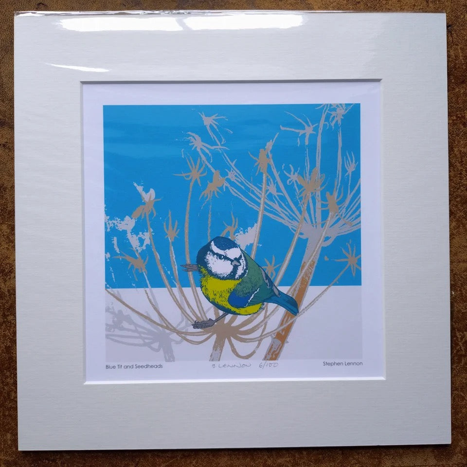 Blue Tit in Seedheads Print by Umbellifer_Just Makers