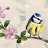 Blue tit on blossom greeting card by Katherine Whitby Art_Just Makers