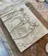 Botanical Bas Relief Plaque Workshop 2_Just Makers