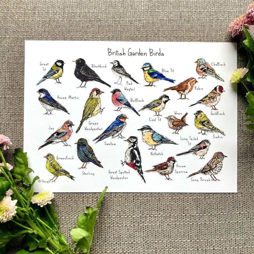 British Garden Birds Print - HD Designs_Just Makers