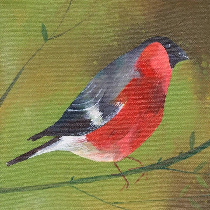 Bullfinch on Green Giclee Print by Julia Ogden - Just Makers Julia Ogden