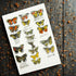 Butterfly Greeting Card - Moira McTague