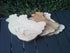 Chicken Serving / Bread Board - Wild Wood Gifts_Just Makers