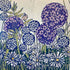 Daisies, Alliums and Echinops Unframed Print_Just Makers