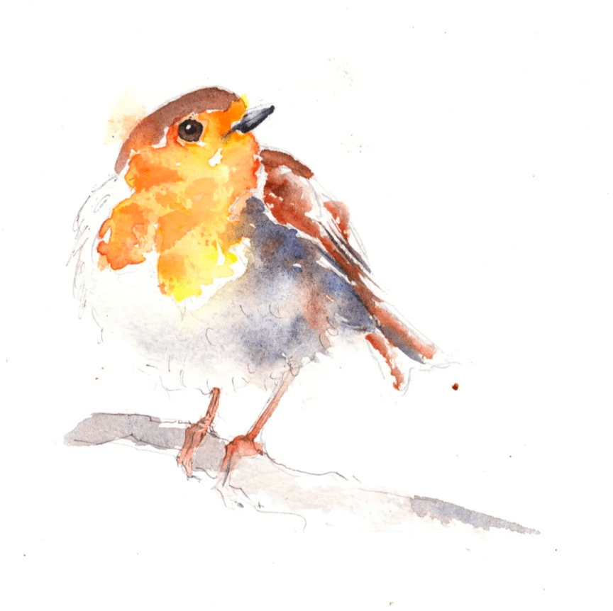 Expressive Birds in Watercolour Workshop with Tim Gomersall - Just Makers Workshop