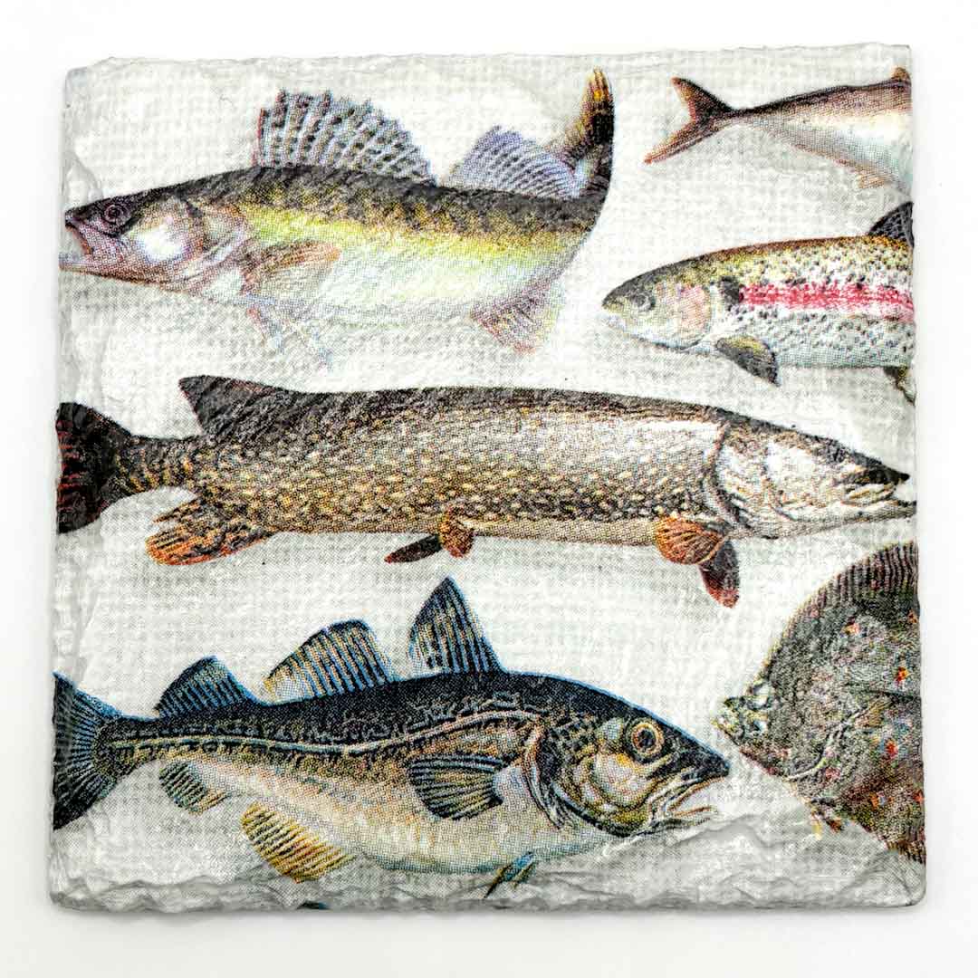 Fish Coaster Slate - Sarah Tustin_Just Makers