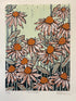 Framed Echinacea Linocut Print - Rachel Knowles_Just Makers