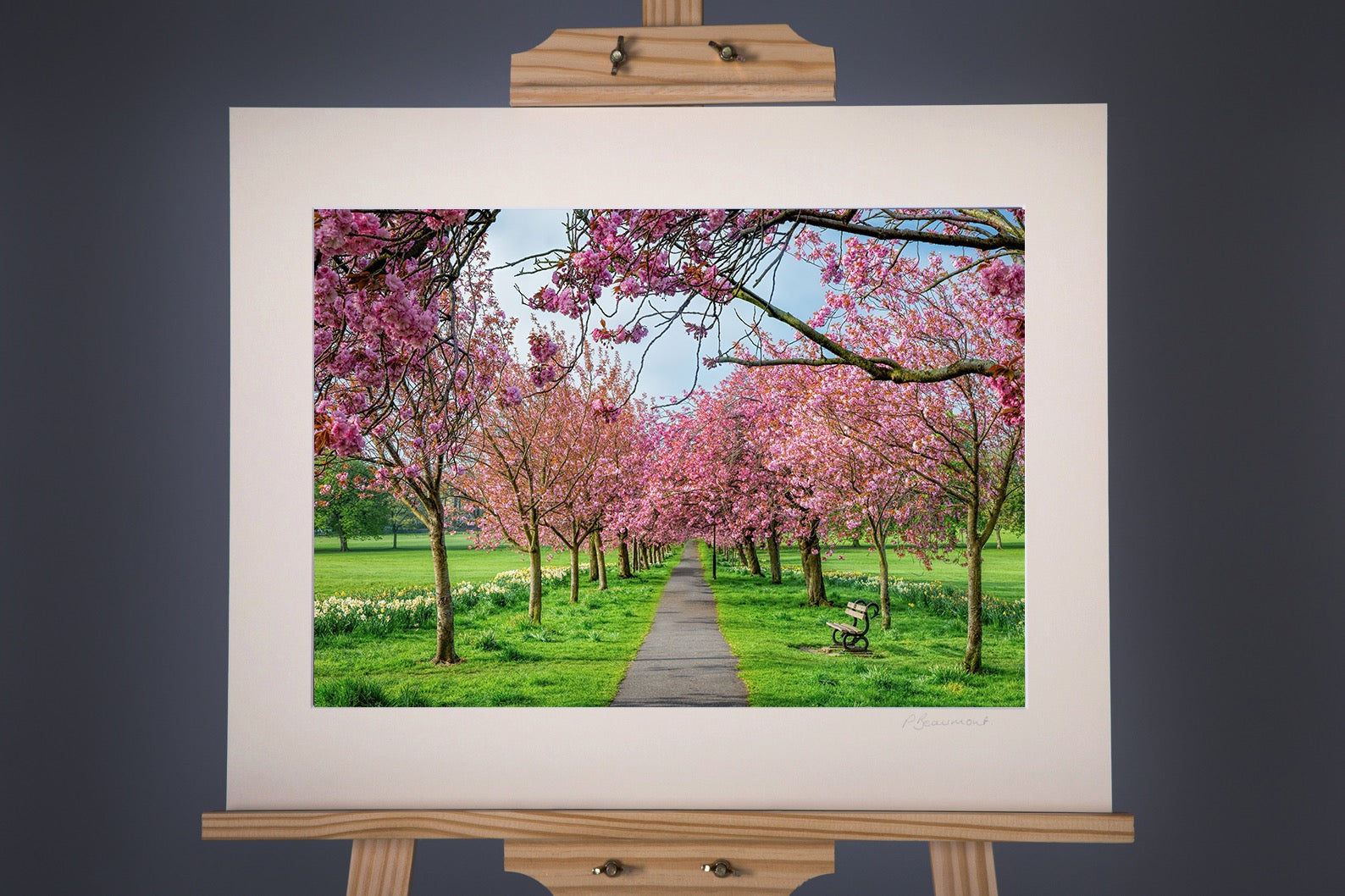 Framed Harrogate Stray Photograph - Paula Beaumont Adventures_Just Makers