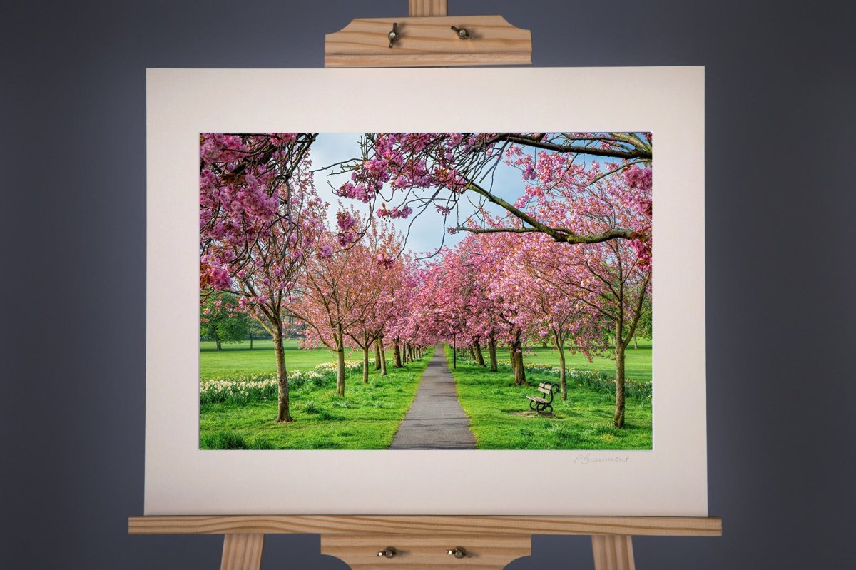 Framed Harrogate Stray Photograph - Paula Beaumont Adventures - Just Makers Paula Beaumont Adventures