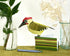 Green Woodpecker Pop-Up 3D Card & Decoration_Just Makers