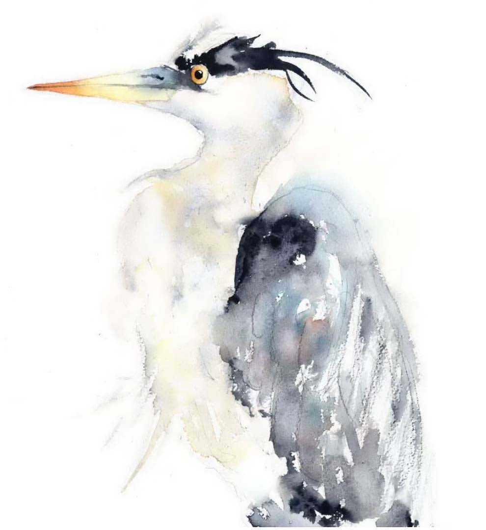 Grey Heron Greeting Card - Tim Gomersall Art - Just Makers Tim Gomersall Art