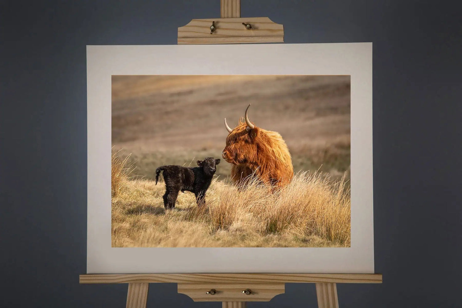 Highland Bond Photograph - Paula Beaumont Adventures_Just Makers