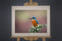 Kingfisher Photograph_Paula Beaumont_Just Makers