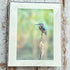 Kingfisher on a Reed Photograph - Paula Beaumont Adventures_Just Makers