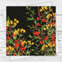 Lily of the Incas Black Greeting Card - Fiona Calder_Just Makers