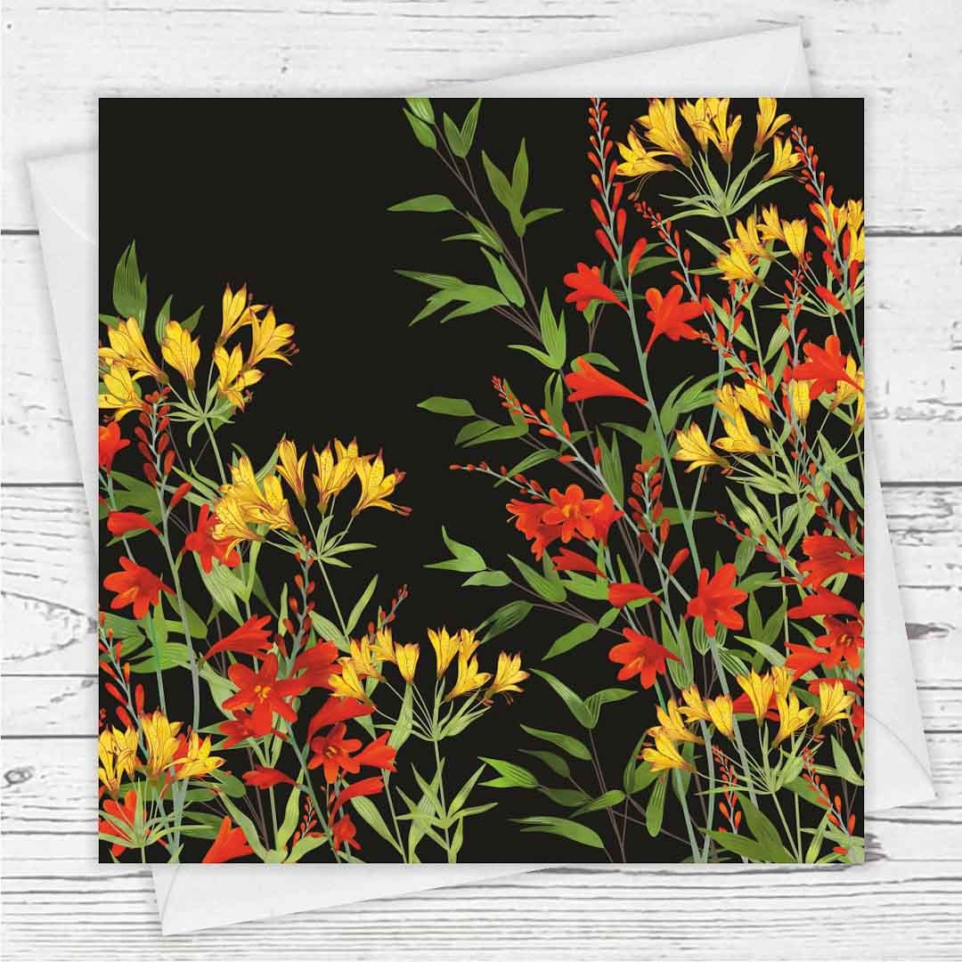 Lily of the Incas Black Greeting Card - Fiona Calder - Just Makers Fiona Calder Designs