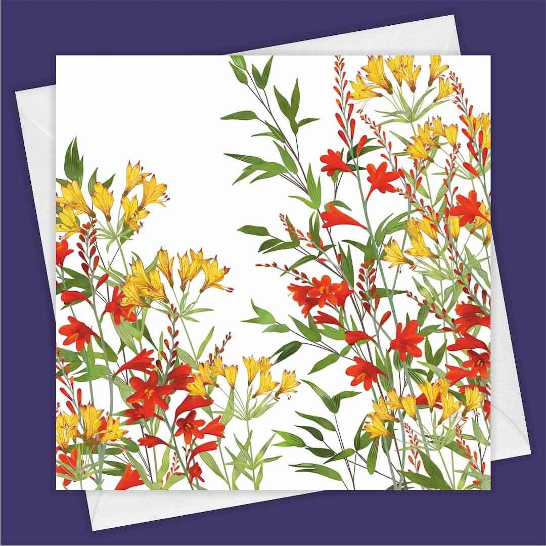 Lily of the Incas Greeting Card - Fiona Calder - Just Makers Fiona Calder Designs