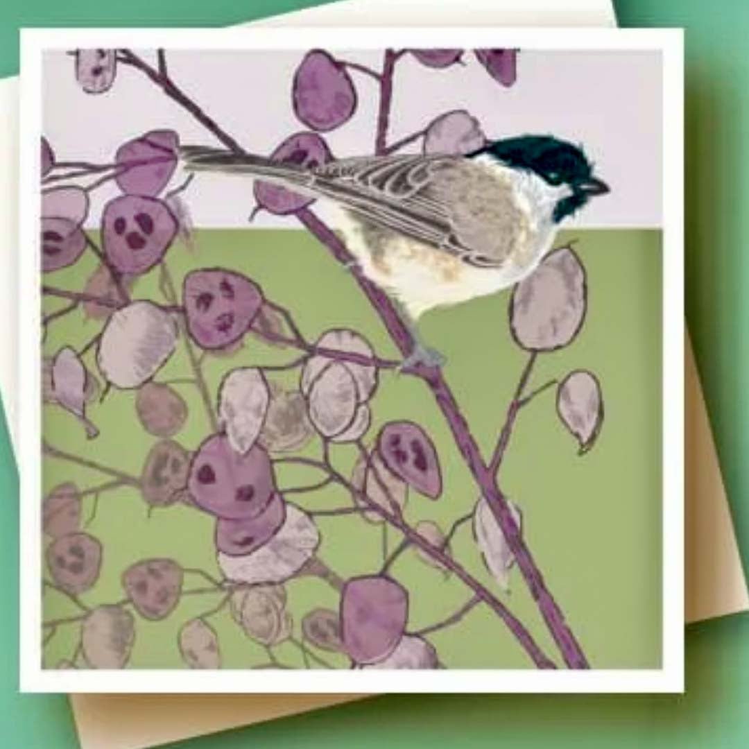 Marsh Tit Greeting Card - Umbellifer - Just Makers Umbellifer