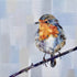 Master Robin redbreast greeting card by Katherine Whitby_Just Makers