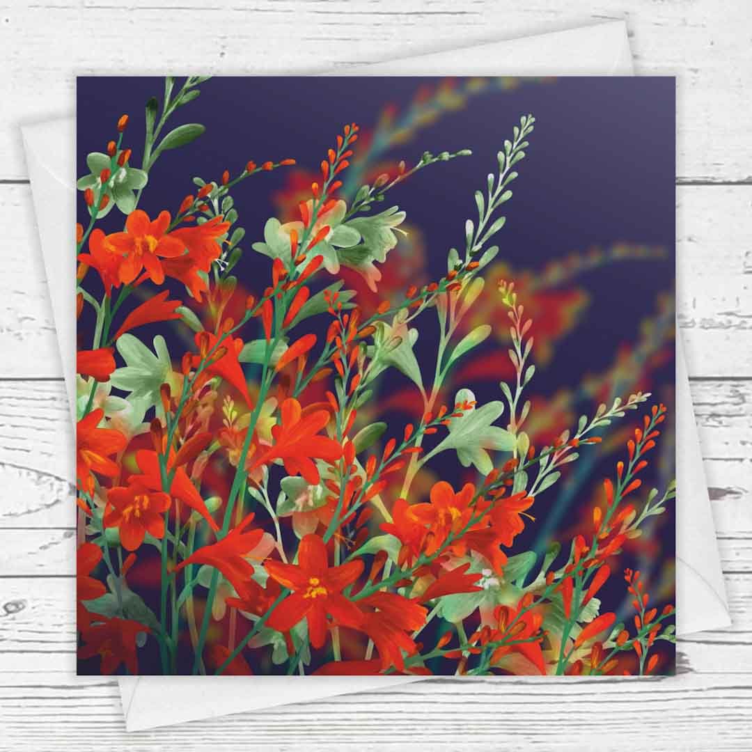 Midnight Montbretia Greeting Card - Fiona Calder - Just Makers Fiona Calder Designs
