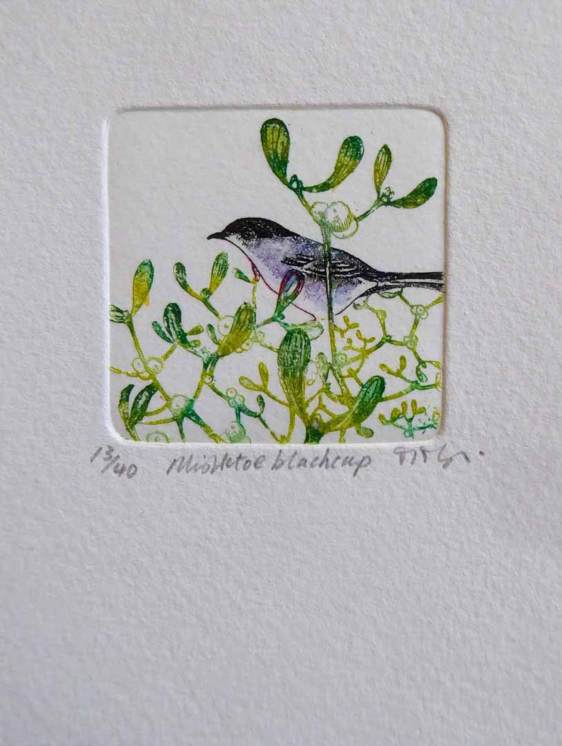Mistletoe and Black Cap Etching - Moira Mctague - Just Makers Moira McTague