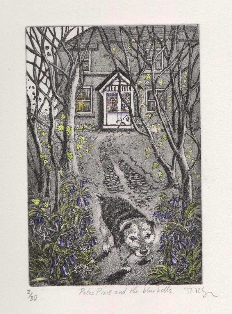 Moira McTague Framed Etching - Petes Pixie and the Bluebells - Just Makers Moira McTague