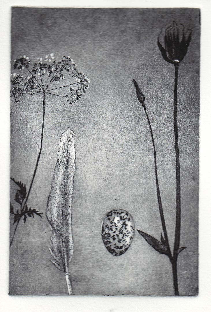 Nature Table Etching - Moira McTague - Just Makers Moira McTague