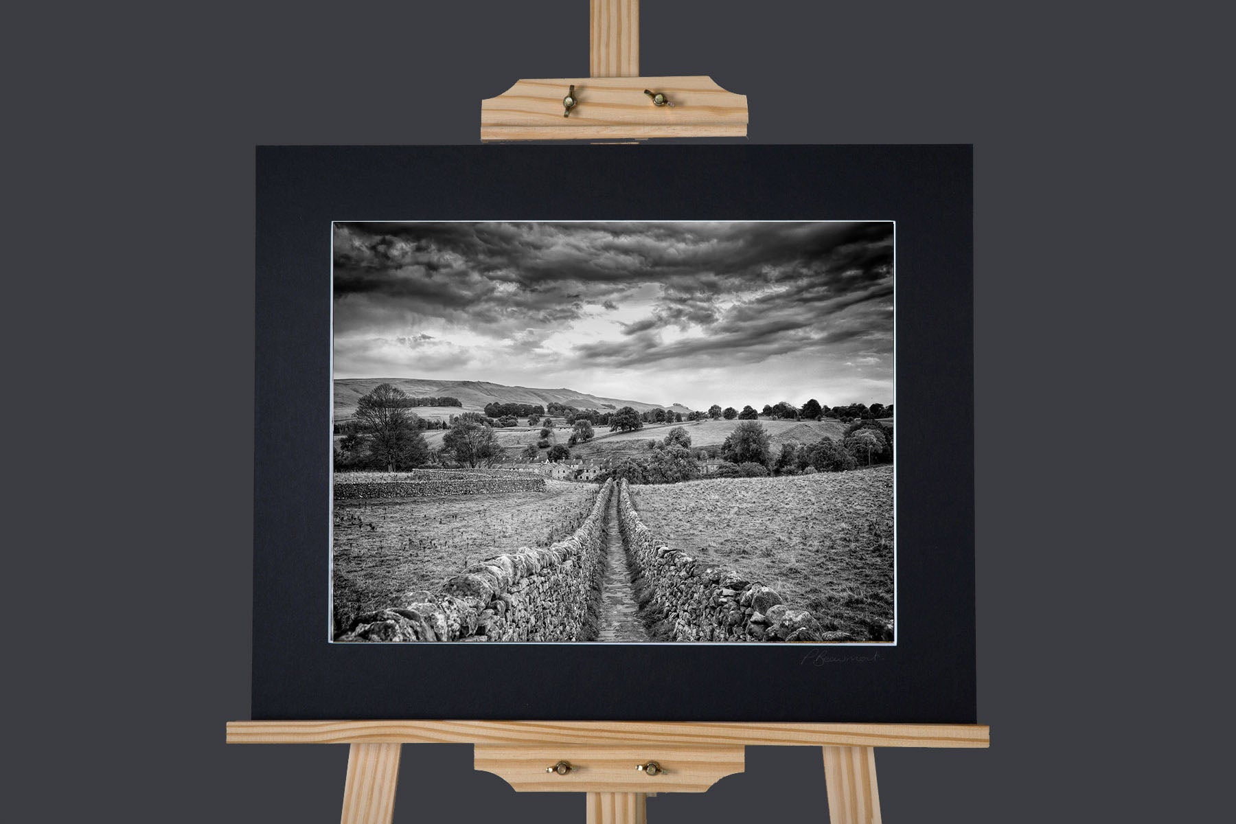 Path to Linton Falls Photograph - Paula Beaumont Adventures_Just Makers