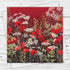 Poppy Field at Sunset Greeting Card - Fiona Calder_Just Makers