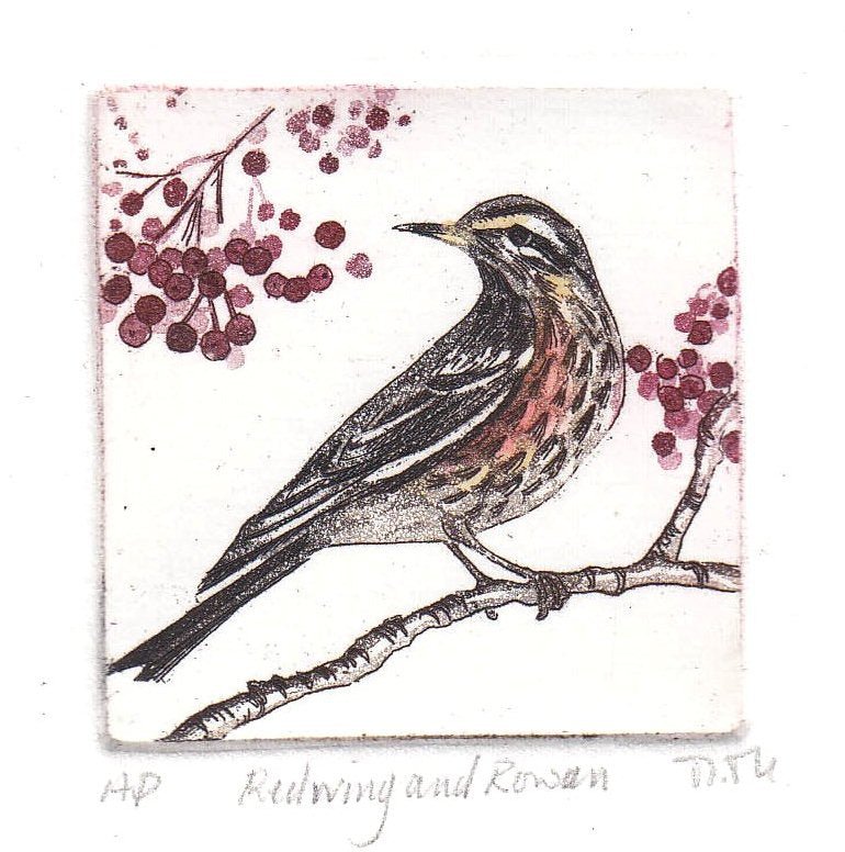 Redwing and Cranberries Etching - Moira Mctague - Just Makers Moira McTague