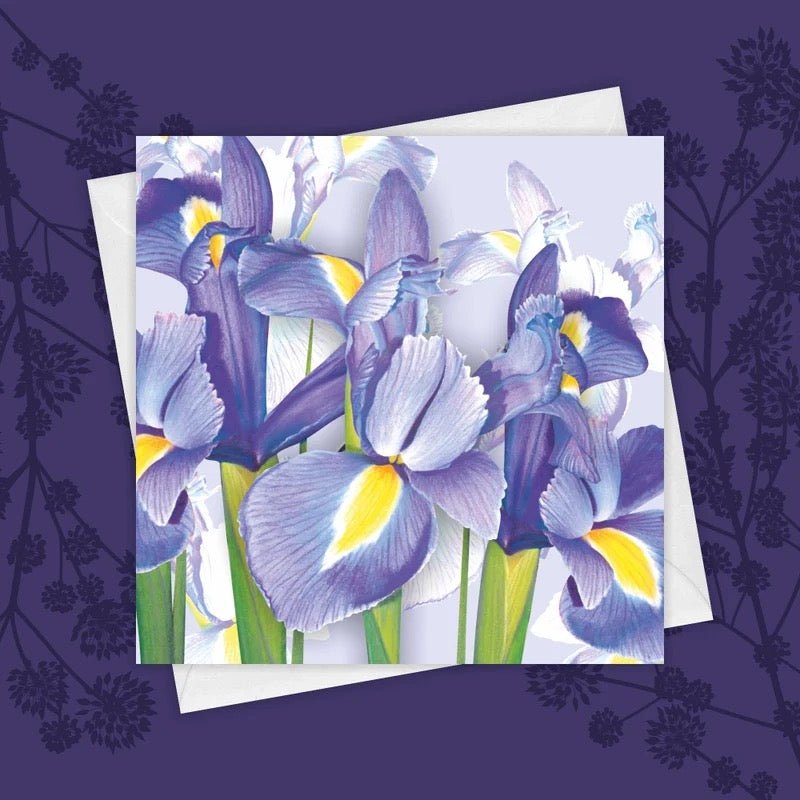 Springtime Irises Greeting Card by Fiona Calder - Just Makers Fiona Calder Designs