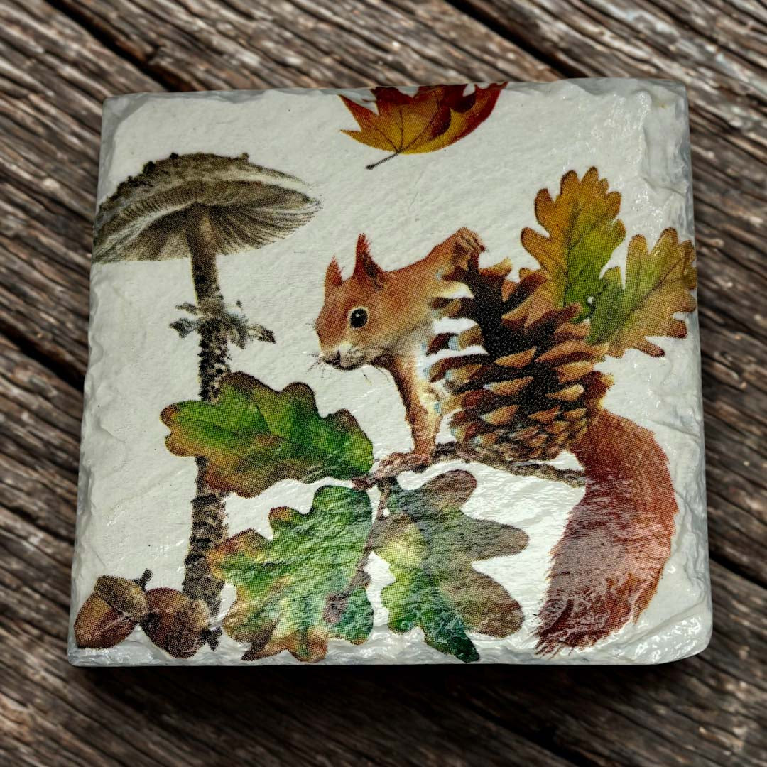 Squirrel Coaster Slate 2 - Sarah Tustin_Just Makers