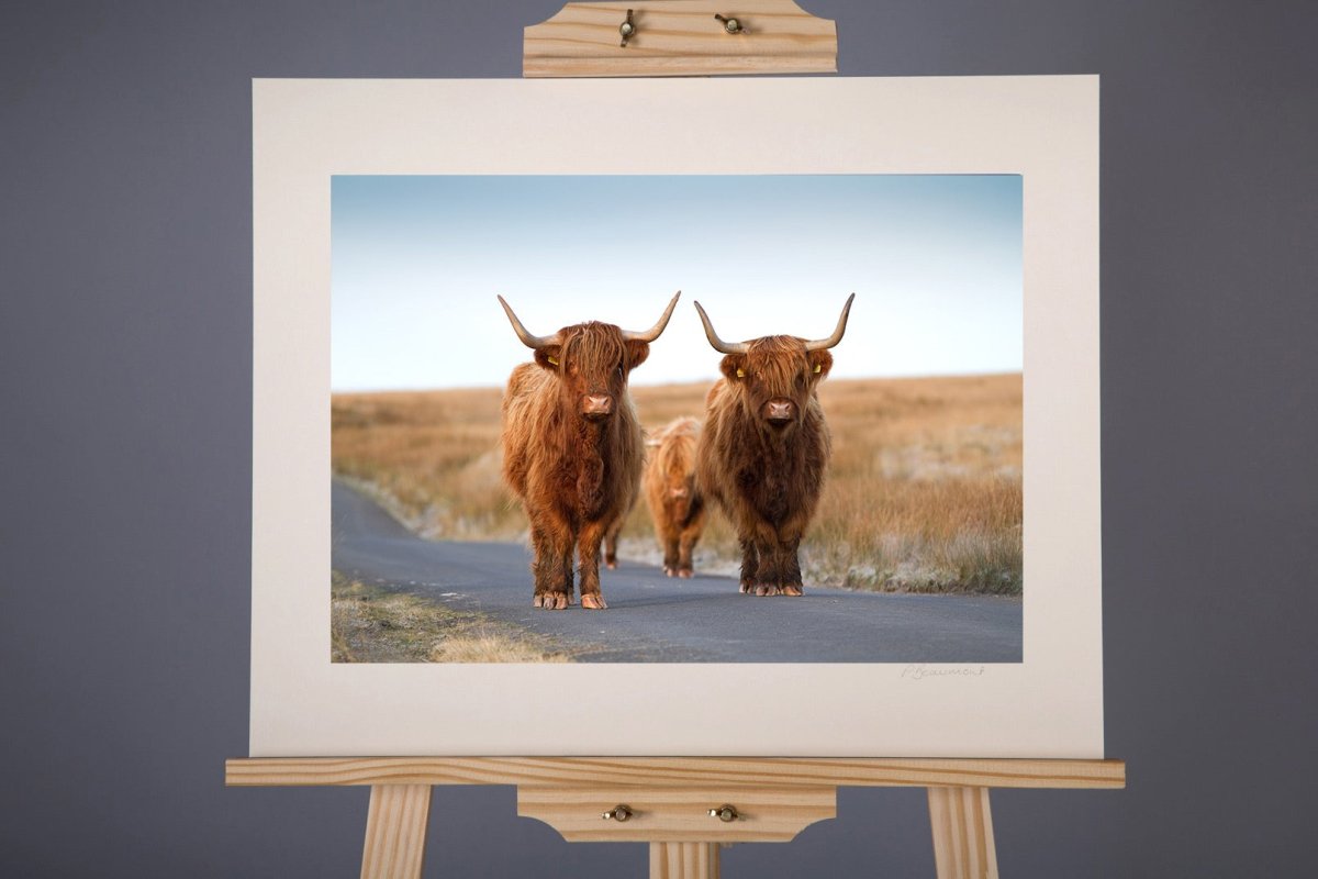 Stand Off Photograph - Paula Beaumont Adventures - Just Makers Paula Beaumont Adventures