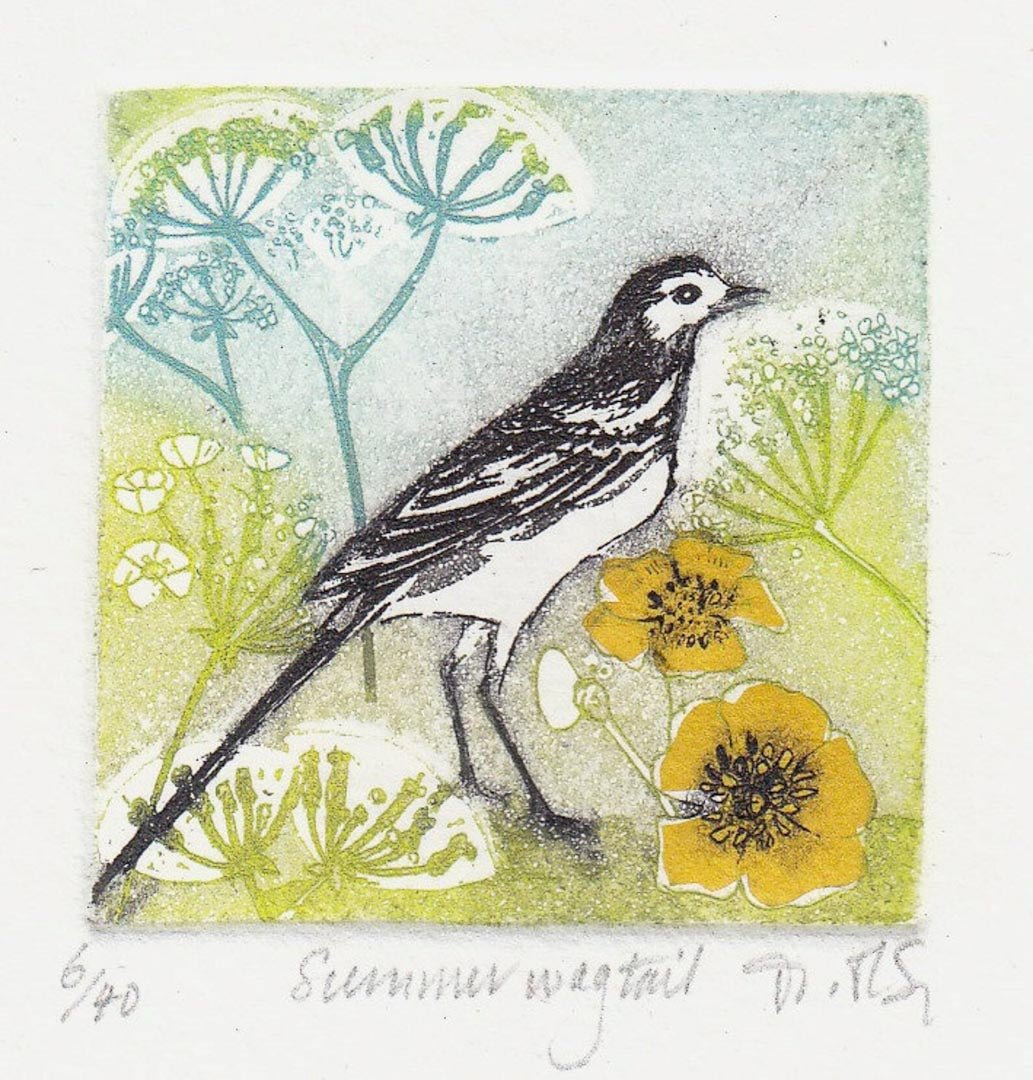 Moira McTague Summer Wagtail Etching - Just Makers Moira McTague