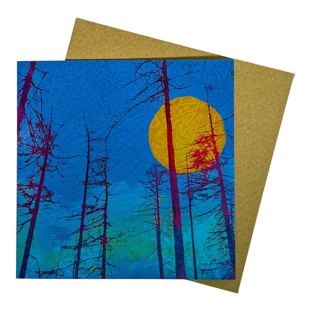 Sun Through Larches Greeting Card - Gill Kirk - Just Makers Gill Kirk Artist