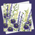 Sunshine Garden Greeting Card by Fiona Calder_Just Makers
