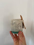 Swift Sugar Bowl Lorna Gilbert Ceramics_Just Makers