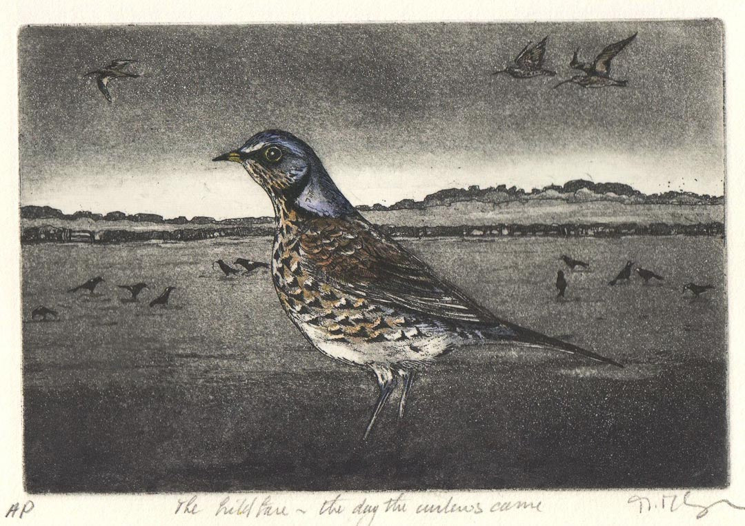 The Fieldfare, the Day the Curlews Came Mounted Etching - Moira McTague - Just Makers Moira McTague