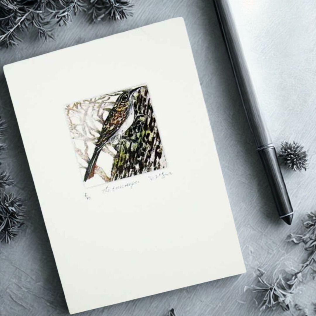 The Treecreeper Greeting Card - Moira McTague - Just Makers Moira McTague