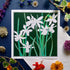 White Daffodil Greeting Card - Umbellifer_Just Makers