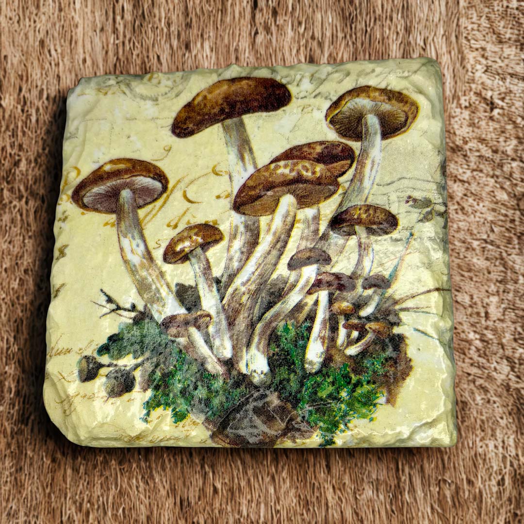 Wild Mushroom Coaster Slate - Sarah Tustin_Just Makers