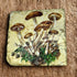 Wild Mushroom Coaster Slate - Sarah Tustin_Just Makers