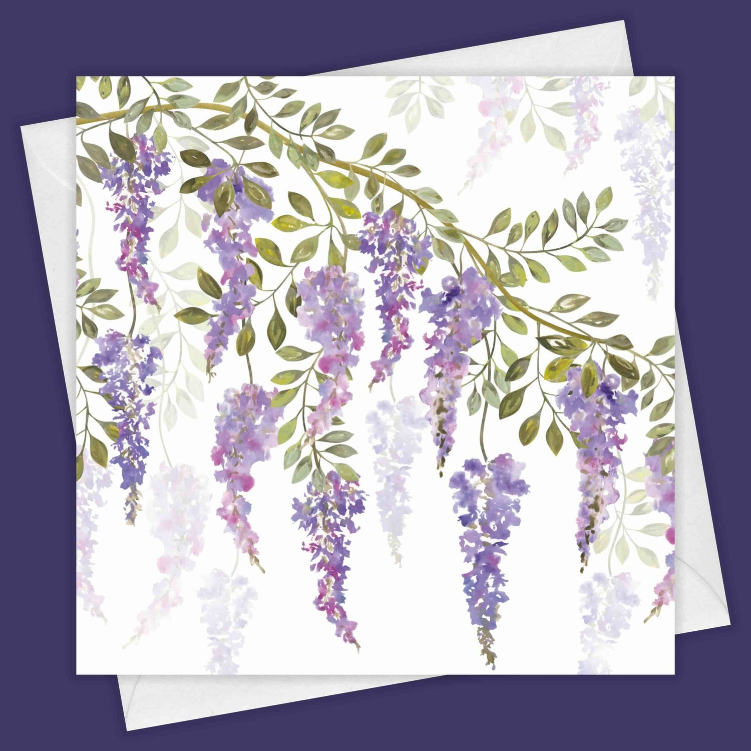 Wisteria Blossoms Greeting Card by Fiona Calder_Just Makers