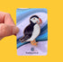 Wooden Puffin Brooch - Rat Bean Kat_Just Makers