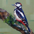 Woodpecker greeting card_Katherine Whitby_Just Makers