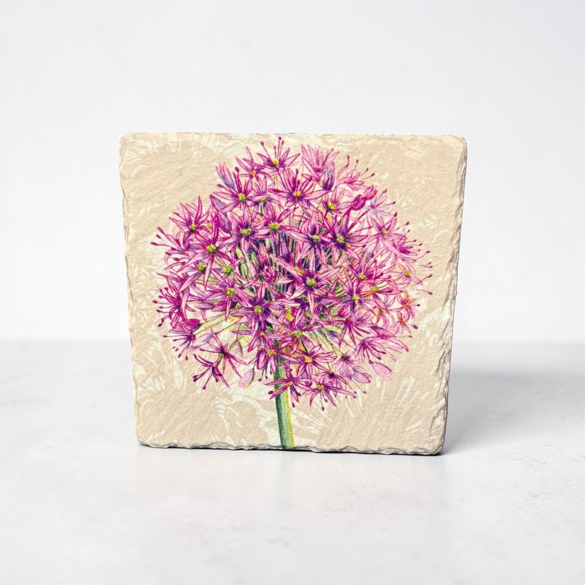 Allium Head Coaster Slate - Sarah Tustin_Just Makers